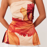 02_Cattleya_Top_Lukas_Jean_321926