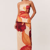 03_Cattleya_Set_321949