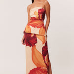 03_Cattleya_Set_321958_A