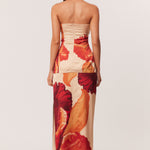 03_Cattleya_Set_321970