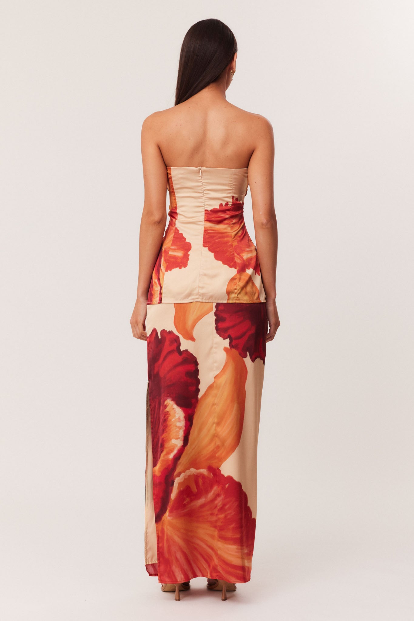 03_Cattleya_Set_321970