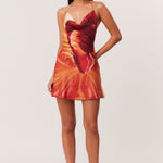 17_Cattleya_Mini_322641