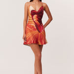 17_Cattleya_Mini_322651_A