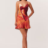 17_Cattleya_Mini_322651_A