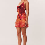 17_Cattleya_Mini_322654