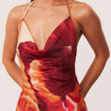 17_Cattleya_Mini_322662