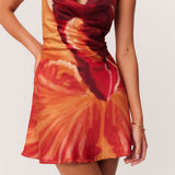 17_Cattleya_Mini_322664