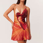 17_Cattleya_Mini_322674_A