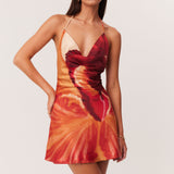 17_Cattleya_Mini_322674_A