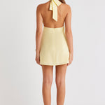 OSKAR-MINI-DRESS-LEMON-1jpg